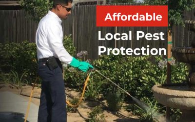 How Much is it for Pest Control?